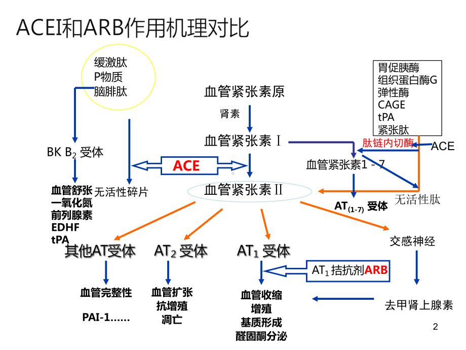 ACEI和ARB药物临床应用课件-2.pptx_第2页