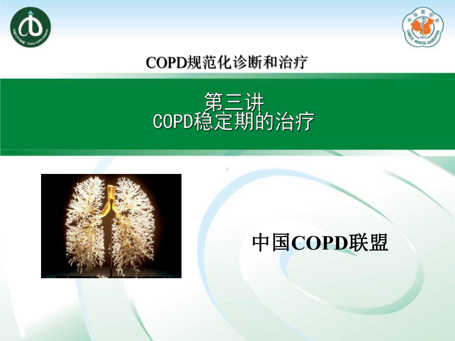 COPD稳定期的治疗课件.ppt_第1页