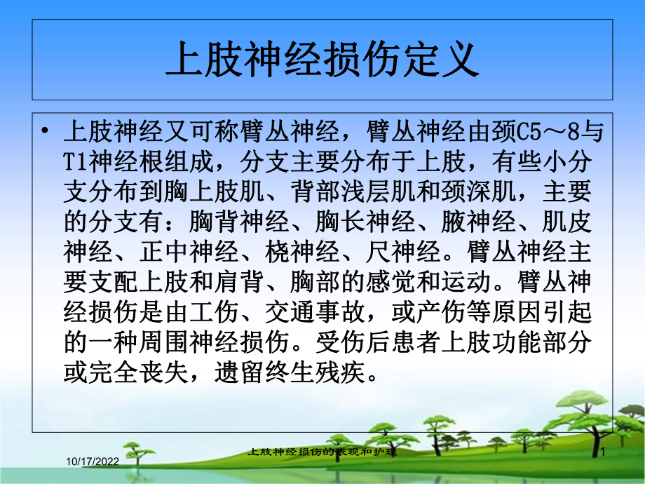 上肢神经损伤的表现和护理培训课件.ppt_第1页