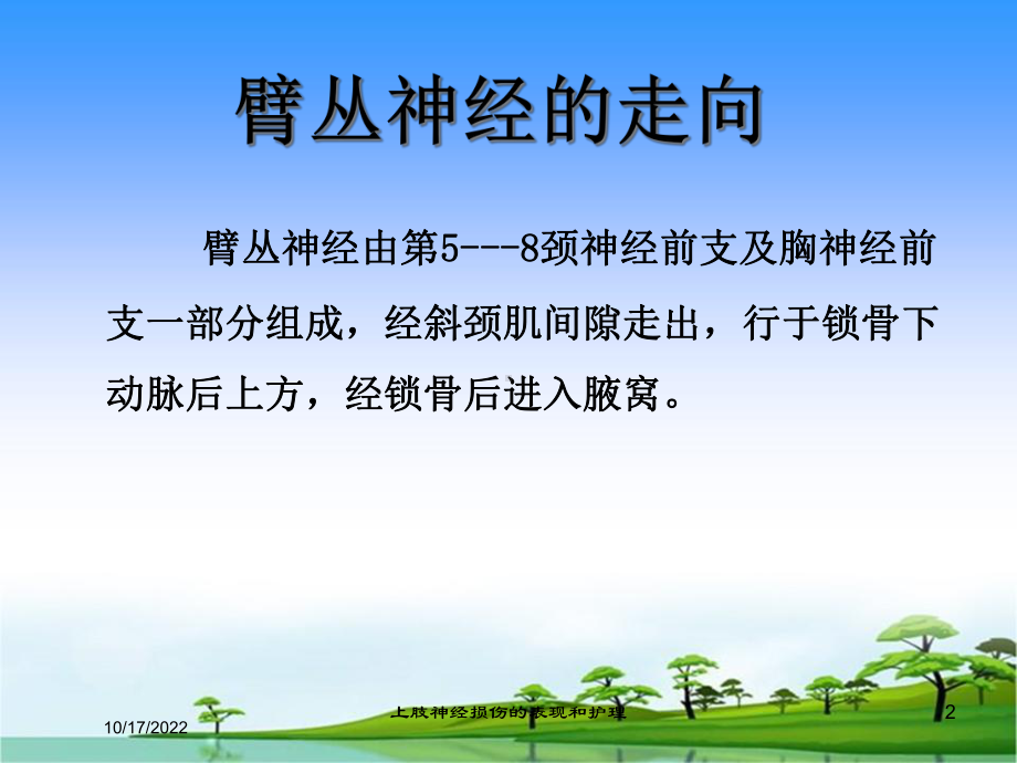 上肢神经损伤的表现和护理培训课件.ppt_第2页