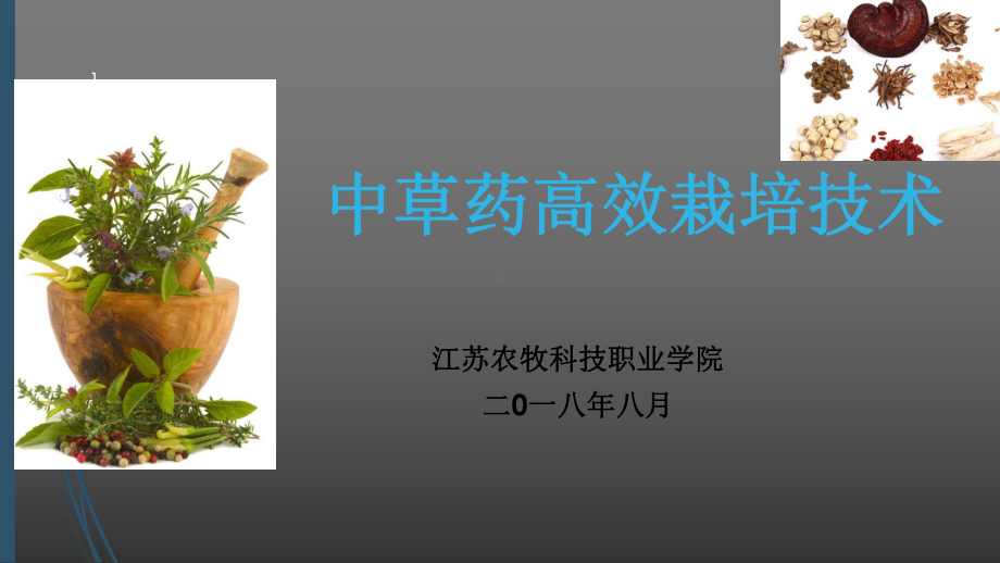 中草药高效栽培技术课件.ppt_第1页