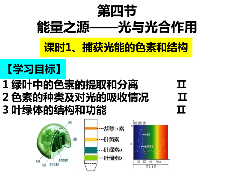 高中生物必修一《捕获光能的色素和结构》-课件.ppt_第2页