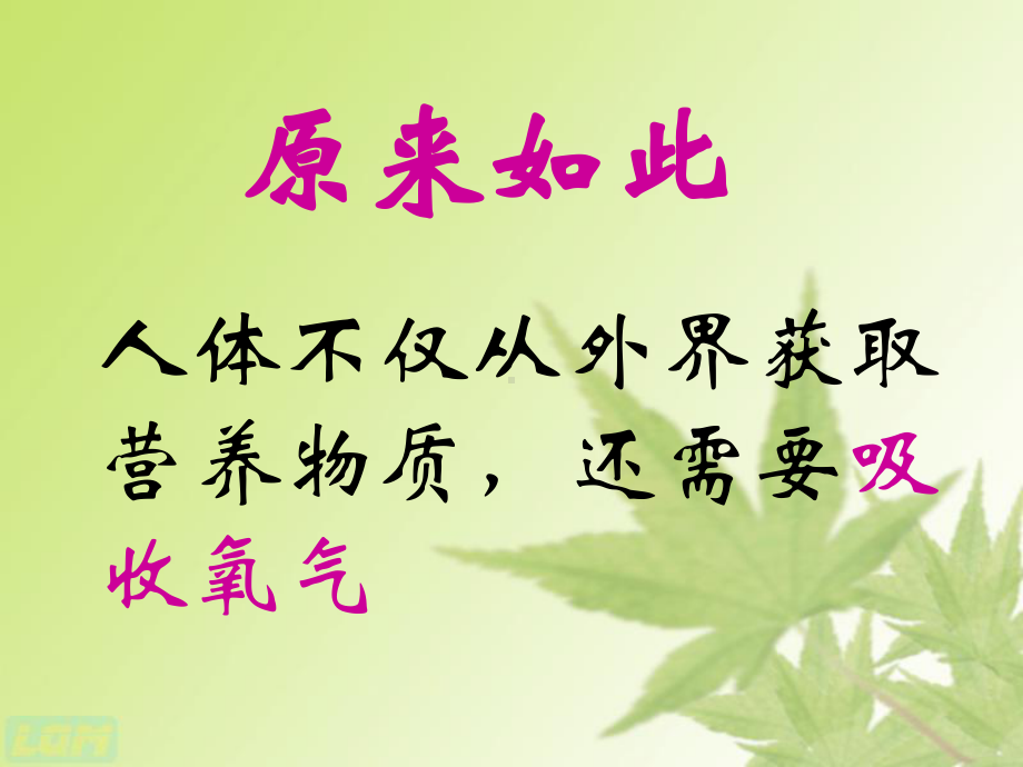 七级生物下册呼吸道对空气的处理人教新标版课件.pptx_第1页