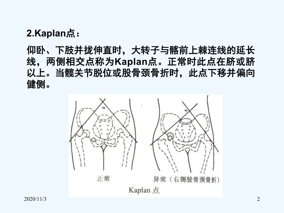 临床医学五年制局部解剖学下肢课件.ppt_第2页