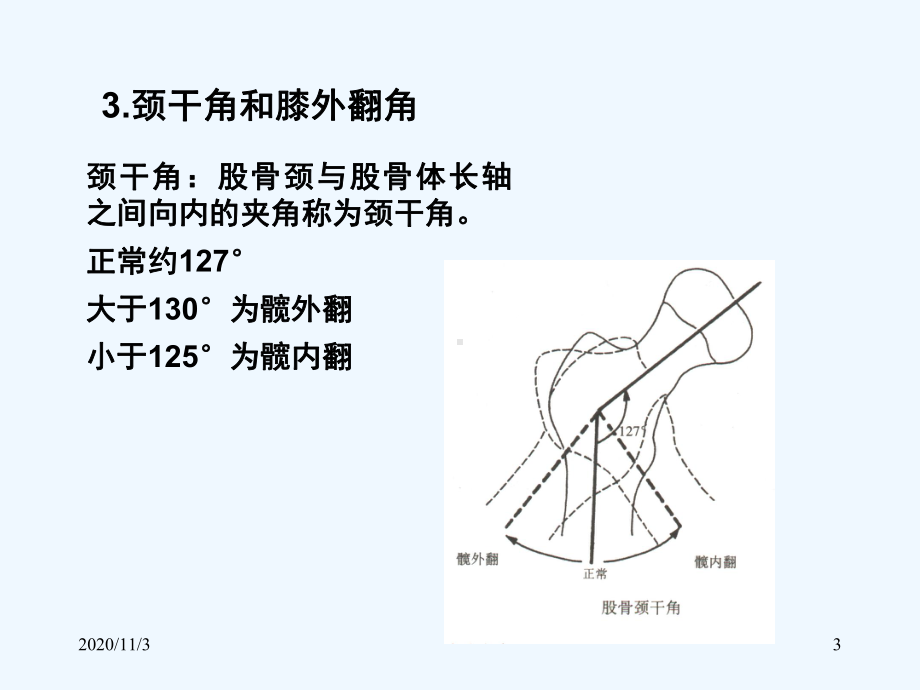 临床医学五年制局部解剖学下肢课件.ppt_第3页