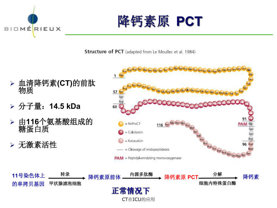 CT在ICU的应用课件.ppt_第2页