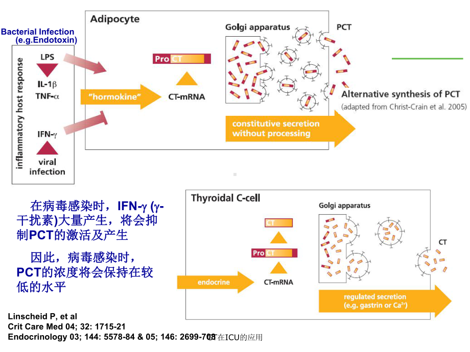 CT在ICU的应用课件.ppt_第3页