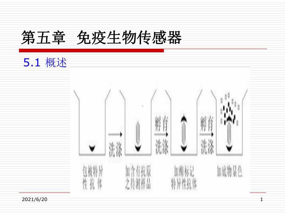 （教学课件）第五章-免疫生物传感器.ppt_第1页