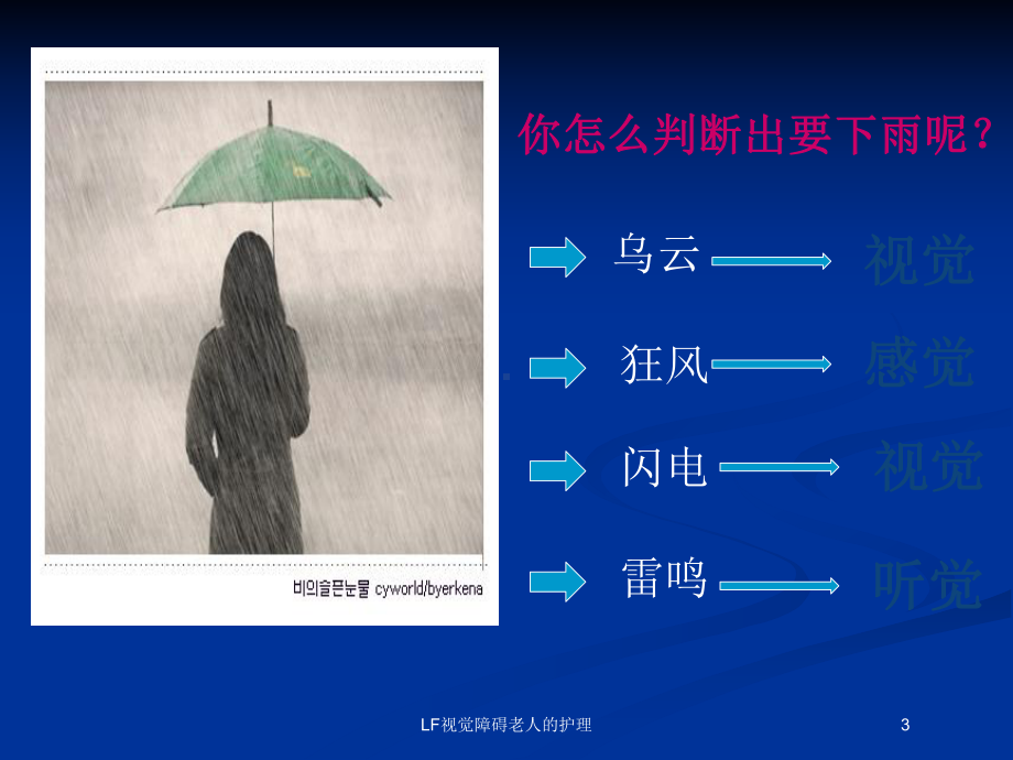 LF视觉障碍老人的护理培训课件.ppt_第3页