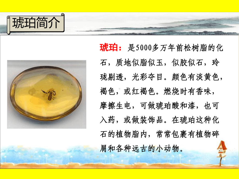 部编版四年级下册语文5琥珀课件设计-.ppt_第3页