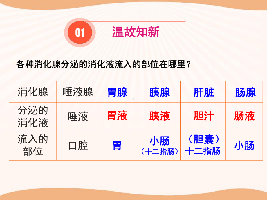 《食物的消化与吸收》课件(第三课时).pptx_第2页