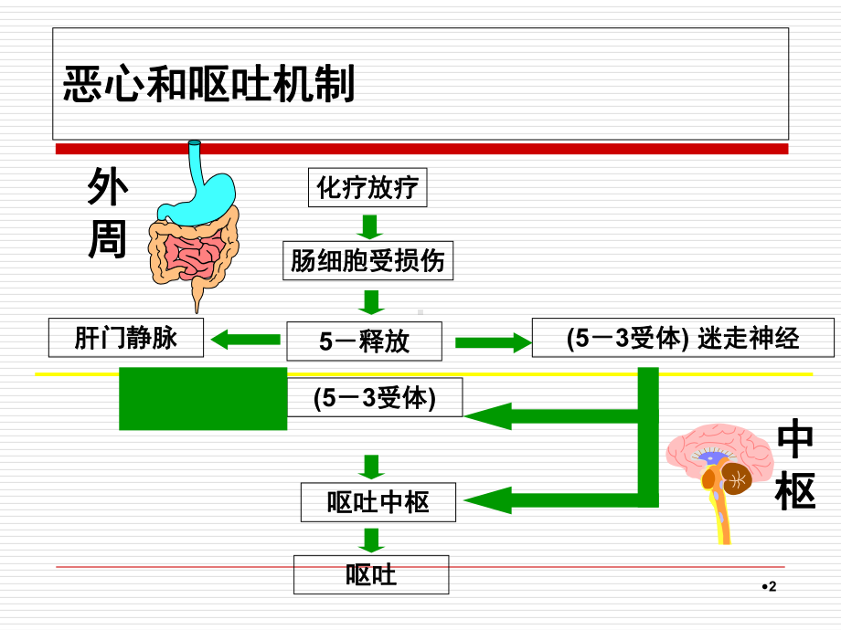 NCCN化疗止吐指南学习课件.ppt_第2页