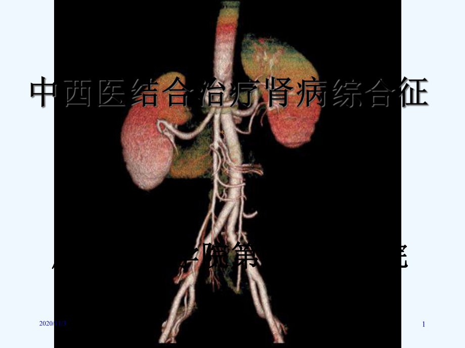 中西医诊治肾病综合征课件.ppt_第1页