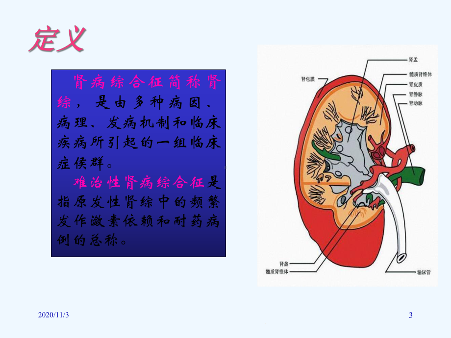 中西医诊治肾病综合征课件.ppt_第3页