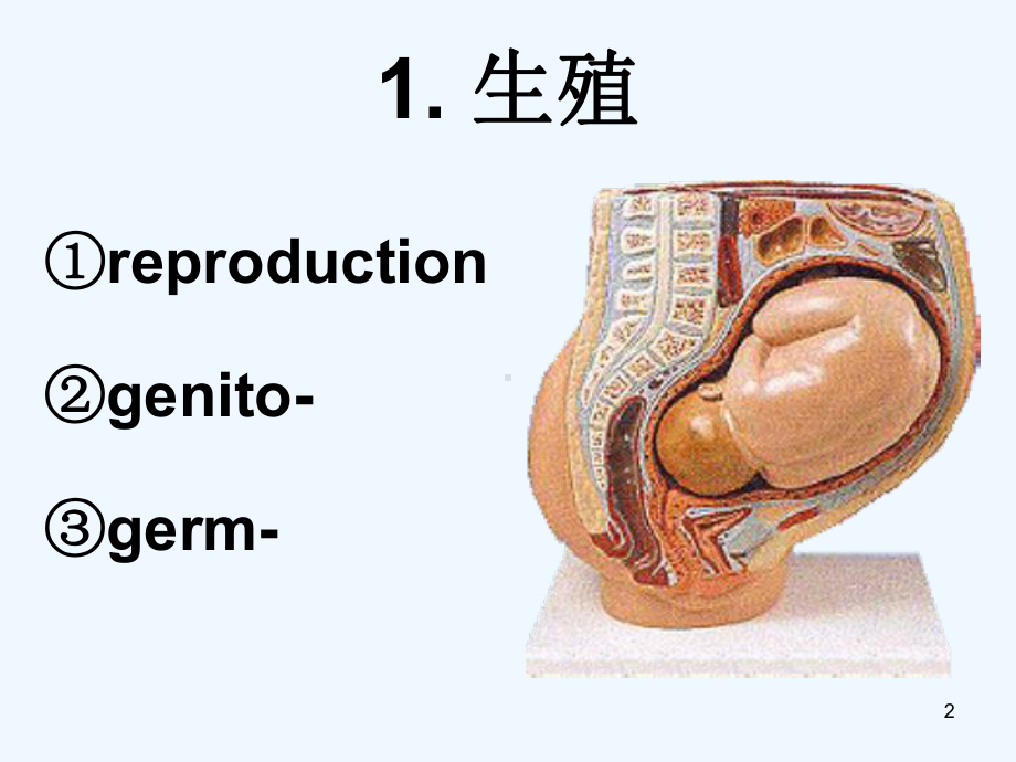 prenatalcare(妇产科医学术语)课件.ppt_第2页