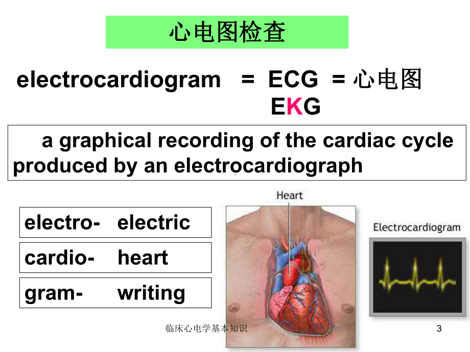 临床心电学基本知识课件.ppt_第3页