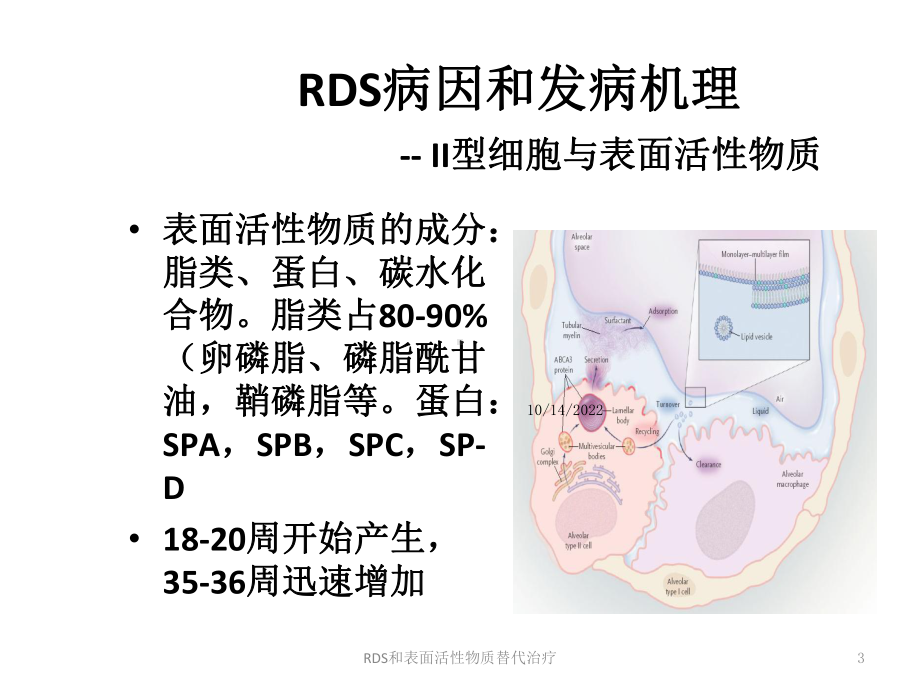 RDS和表面活性物质替代治疗课件.ppt_第3页