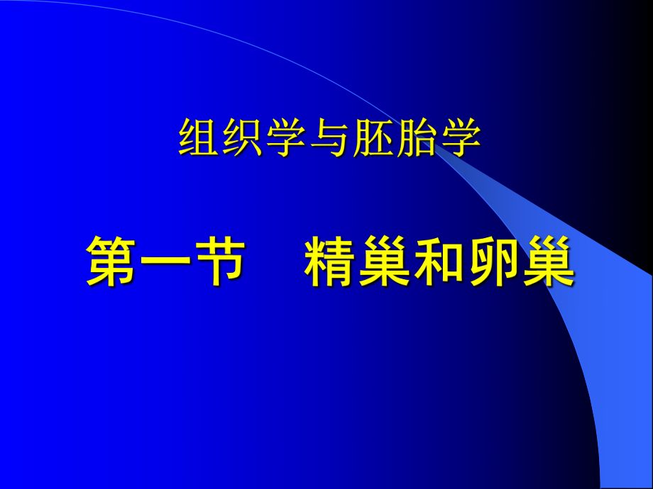 一节精巢和卵巢课件.pptx_第1页