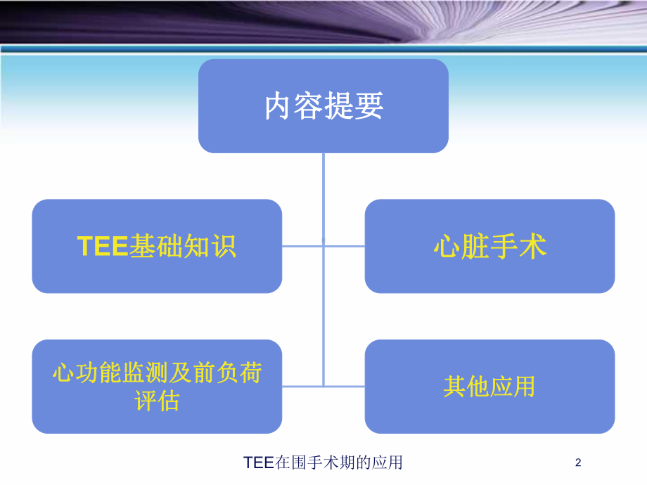 TEE在围手术期的应用培训课件.ppt_第2页