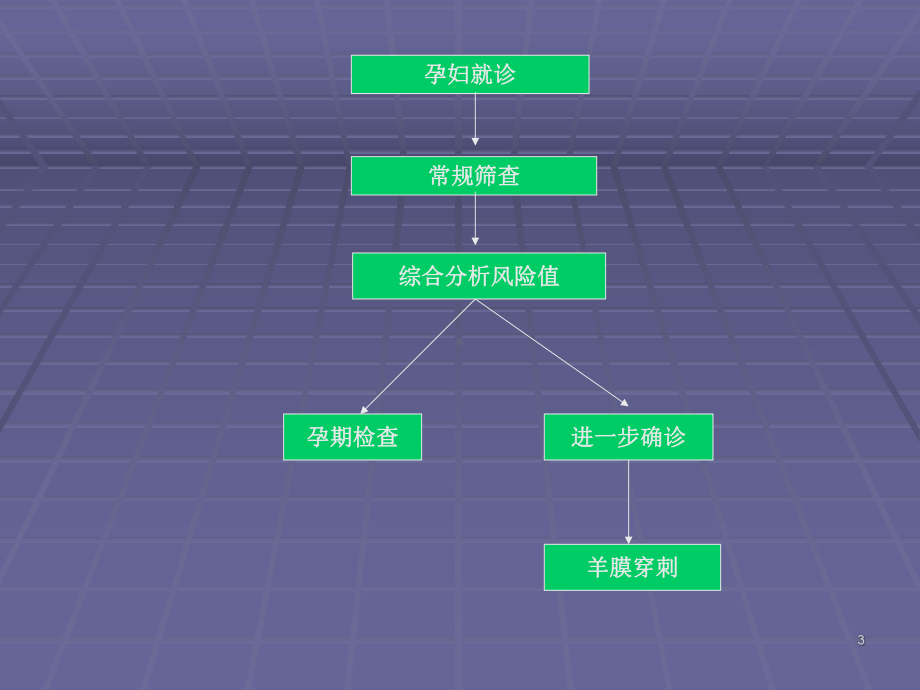 三体综合征产前诊断满分课件.ppt_第3页