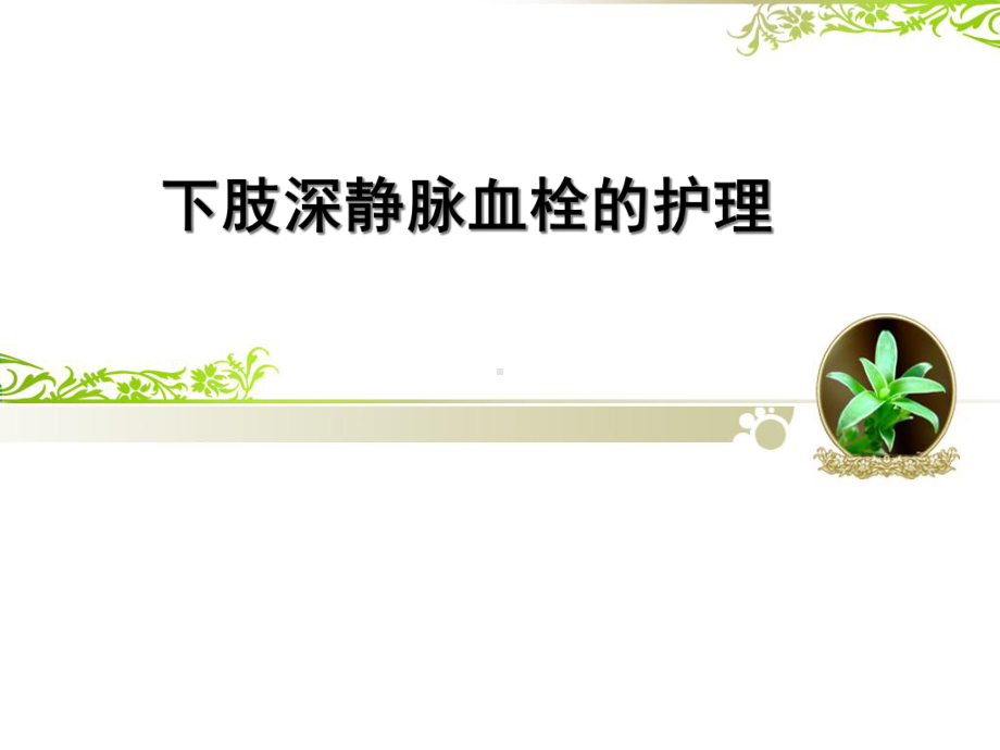 下肢深静脉血栓的护理-课件.ppt_第1页