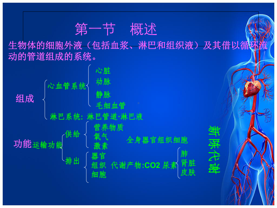 [临床医学]循环系统解剖和神经调节课件.ppt_第2页