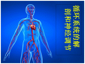 [临床医学]循环系统解剖和神经调节课件.ppt