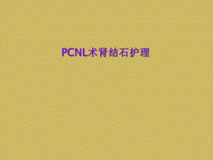 PCNL术肾结石护理课件.ppt