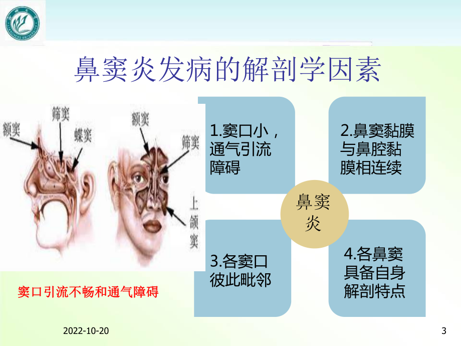 《耳鼻咽喉头颈外科学》急慢性鼻窦炎-课件.ppt_第3页