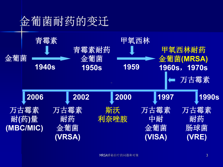 MRSA感染治疗的问题和对策课件.ppt_第3页