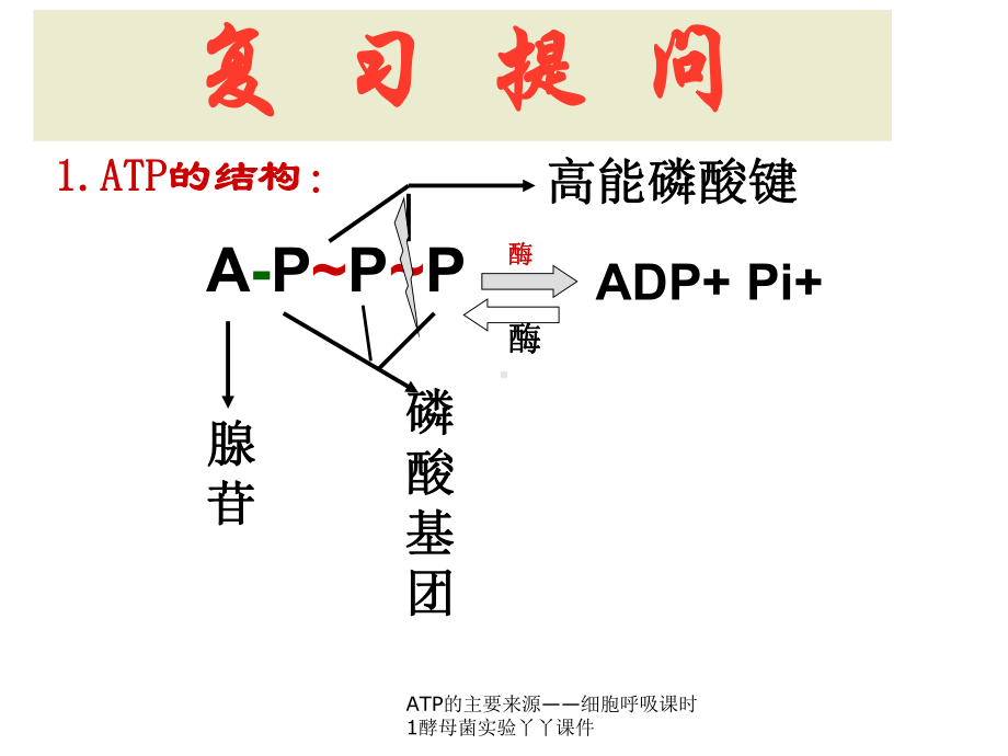 ATP的主要来源-细胞呼吸课时1酵母菌实验丫丫课件.ppt_第1页