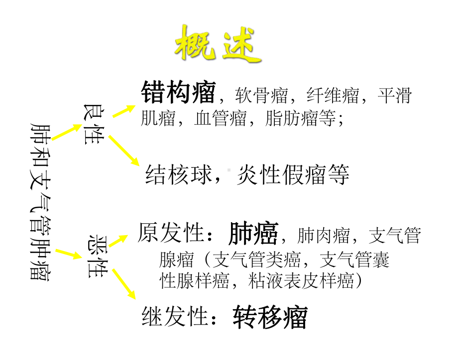 肺和支气管肿瘤课件.ppt_第3页