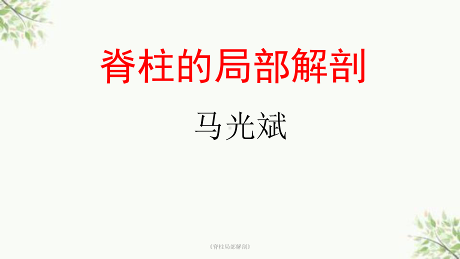 《脊柱局部解剖》课件.ppt_第1页