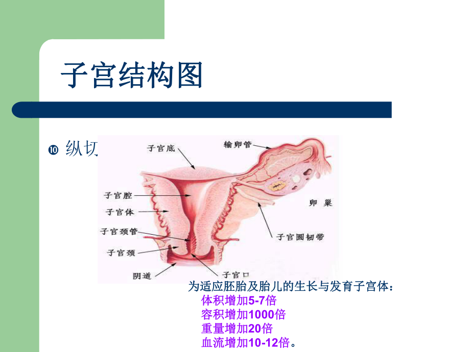 与女性朋友谈宫颈疾病的防治名师编辑课件.ppt_第3页