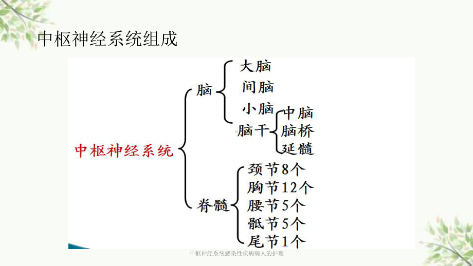 中枢神经系统感染性疾病病人的护理课件.ppt_第3页