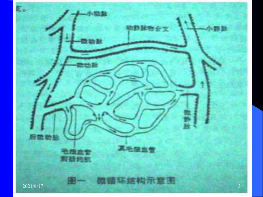 《月份外科休克》课件.ppt_第3页