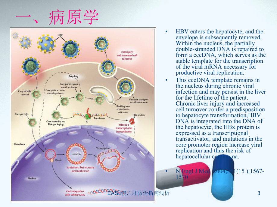 EASL慢乙肝防治指南浅析课件.ppt_第3页