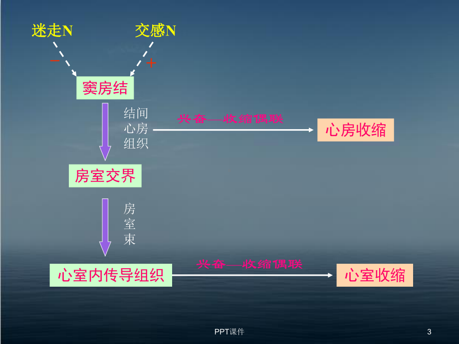 《病理生理学》心功能不全-课件.ppt_第3页