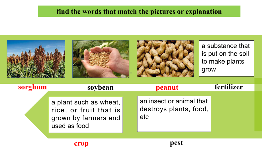 高中英语人教新课标下册必修四-Unit-2-working-the-land-reading-(共2课件.ppt--（课件中不含音视频）_第2页