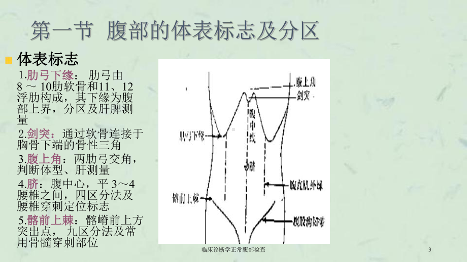 临床诊断学正常腹部检查课件.ppt_第3页