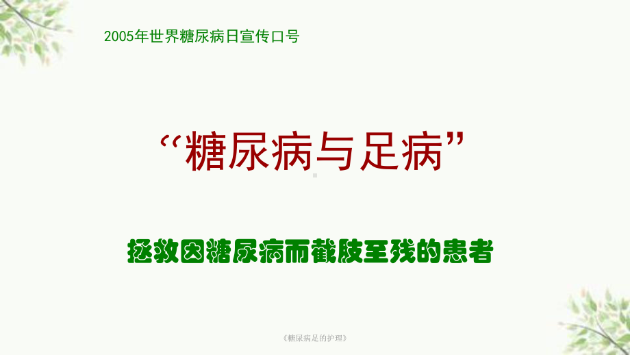 《糖尿病足的护理》课件.ppt_第2页