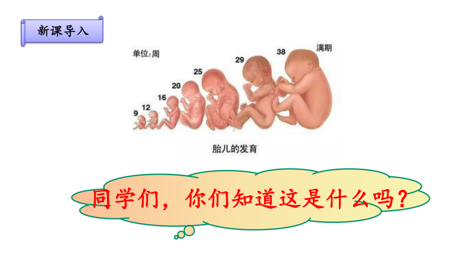 部编人教版五年级下册语文《童年的发现》优秀教学课件.pptx_第2页