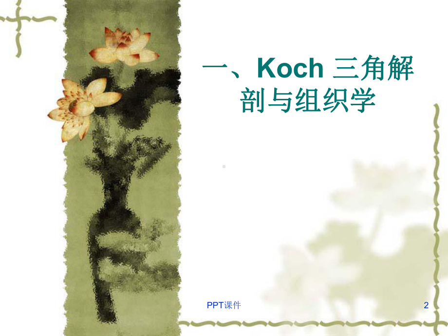 Koch-三角解剖与临床-课件.ppt_第2页