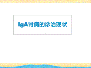 IgA肾病诊治现状课件.ppt