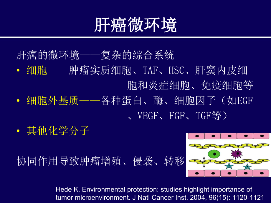 TACE术后肝癌微环境改变与分子靶向药物治疗课件.ppt_第3页