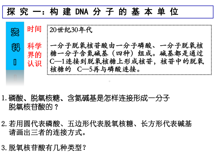 高中生物-《DNA分子的结构》-教学课件设计.ppt_第3页