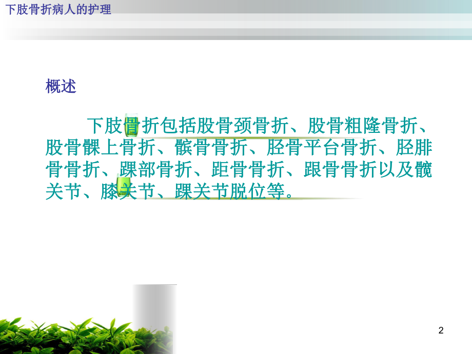 下肢骨折病人的护理参考课件.ppt_第2页