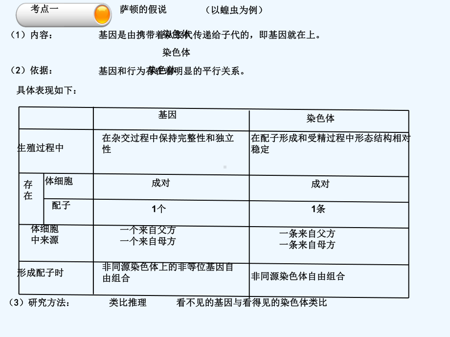 一轮复习基因在染色体上及伴性遗传课件.ppt_第3页