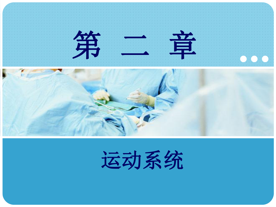 《人体解剖学与组织胚胎学》-(16)课件.ppt_第1页