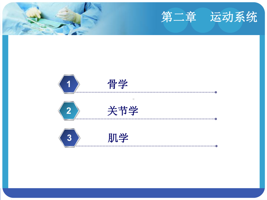 《人体解剖学与组织胚胎学》-(16)课件.ppt_第3页